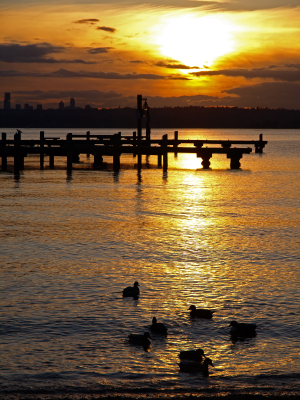 Sunset on the water