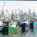 Fishing boats