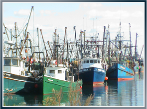 Fishing boats Photo of a fishing boats